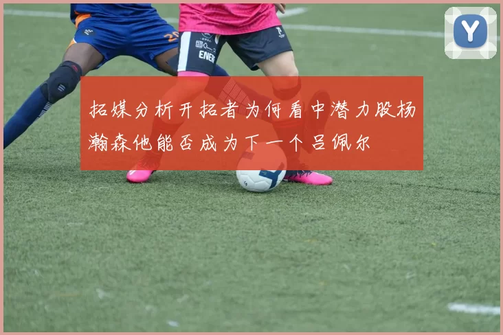 拓媒分析开拓者为何看中潜力股杨瀚森他能否成为下一个吕佩尔