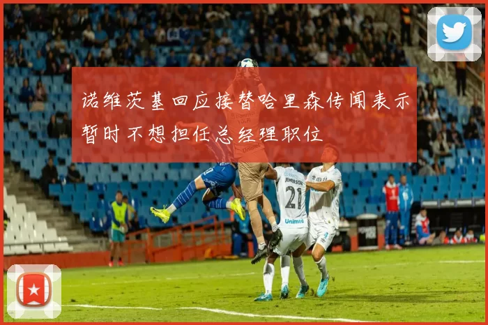 诺维茨基回应接替哈里森传闻表示暂时不想担任总经理职位