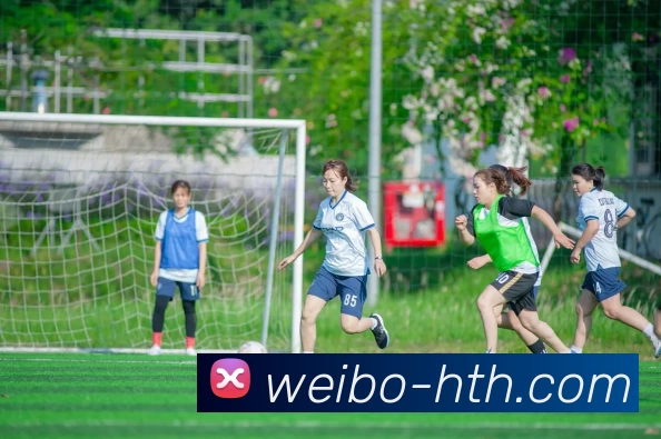 互动解说服务